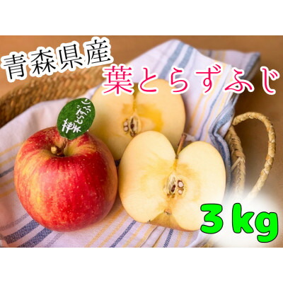 【ふるさと納税】先行予約【青森市産・完熟葉とらずふじ】約3kg(家庭用)【1613752】