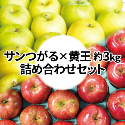 【ふるさと納税】【25年8月より順次発送】糖度12度以上保証! 黄王×サンつがる 約3kg 訳あり クール便【配送不可地域：離島・沖縄県】【1613853】