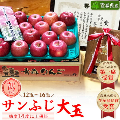 【ふるさと納税】「サンふじ」大玉約5kg・糖度14度以上保証・訳あり家庭用りんご【配送不可地域：離島】【1111237】