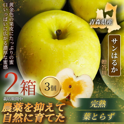 【ふるさと納税】【青森直送 季節の味覚をお届け!】サンはるか 3個入&times;2箱(贈答用)青森産 産地直送 限定生産【配送不可地域：離島】【1700928】｜青森県青森市