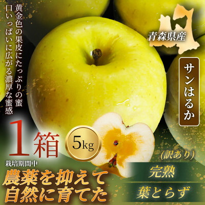 【ふるさと納税】【青森直送 季節の味覚をお届け!】サンはるか 5kg&times;1箱(訳あり)青森産 産地直送 限定生産【配送不可地域：離島】【1700935】｜青森県青森市