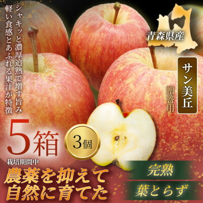 【ふるさと納税】【青森直送 季節の味覚をお届け!】サン美丘 3個入×5箱(贈答用)青森産 産地直送 限定生産【配送不可地域：離島】【1700958】