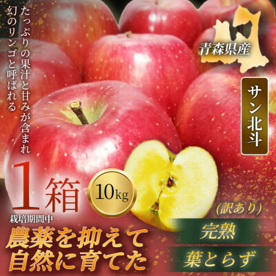 【ふるさと納税】【青森直送 季節の味覚をお届け!】サン北斗(幻のサン北斗)10kg×1箱(訳あり)青森産 産地直送【配送不可地域：離島】【1700962】