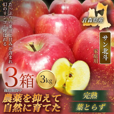 【ふるさと納税】【青森直送 季節の味覚をお届け!】サン北斗(幻のサン北斗)3kg×3箱(家庭用)青森産 産地直送【配送不可地域：離島】【1700965】