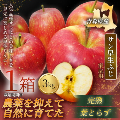 【ふるさと納税】【青森直送 季節の味覚をお届け】サン早生ふじ 3kg×1箱(家庭用)2026年産 産地直送 限定生産【配送不可地域：離島】【1700969】
