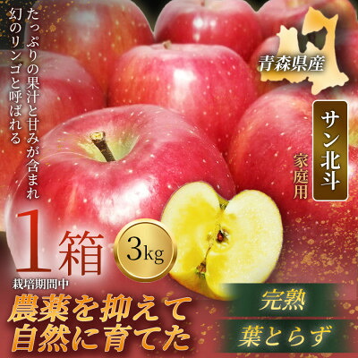 【ふるさと納税】【青森直送 季節の味覚をお届け!】サン北斗(幻のサン北斗)3kg×1箱(家庭用)青森産 産地直送【配送不可地域：離島】【1700971】
