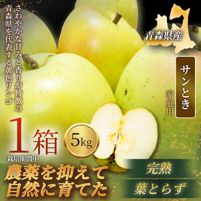 【ふるさと納税】【青森直送 季節の味覚をお届け!】サンとき 5kg&times;1箱(家庭用)2026年産 産地直送 限定生産【配送不可地域：離島】【1700980】｜青森県青森市