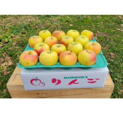 【ふるさと納税】【訳あり】青森県産りんご「家庭用ぐんま名月家庭用」約5kg　産地直送!【配送不可地域：離島】【1751603】｜青森県青森市