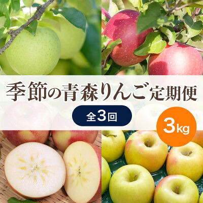 【ふるさと納税】【発送月固定定期便】【26年12月～27年2月】青森りんご 訳あり 品種おまかせ 3kg全3回【配送不可地域：離島・沖縄県】【4066848】