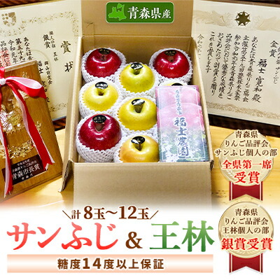【ふるさと納税】「サンふじ」約1.5kg&「王林」約1.5kg・糖度14度以上保証・特選贈答用りんご【配送不可地域：離島】【1111236】