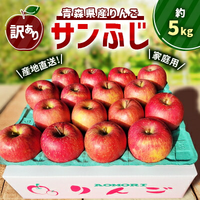 【ふるさと納税】【訳あり】青森県産りんご「サンふじ家庭用」約5kg　産地直送!【配送不可地域：離島】【1321109】