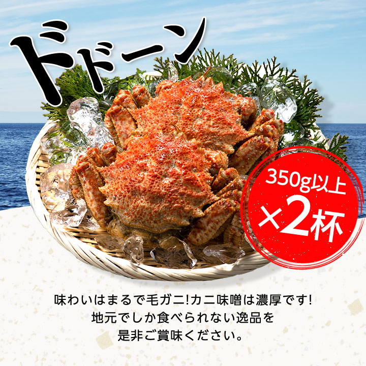 ふるさと納税 厳選珠玉 青森設定 トゲクリガニ 350gup 2水呑 先立つ物勝水産 179 Acilemat Com