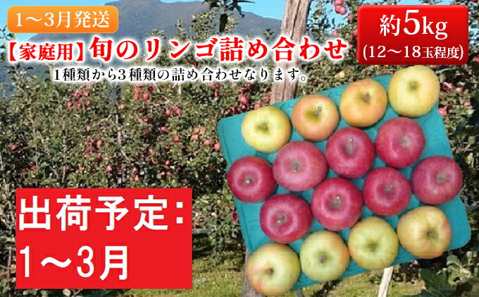 1〜3月発送旬のリンゴ詰め合わせ 約5kg糖度13度以上 お届け