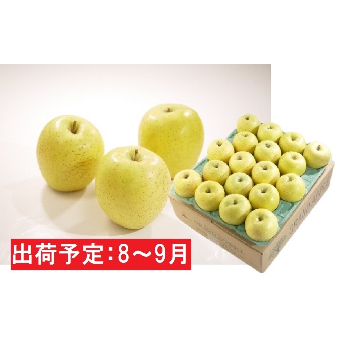 ふるさと納税 8 9月 美味 珍品 特a 黄王約5kg 弘前市産 青森りんご グランドアグウィル 果物類 林檎 りんご リンゴ お届け 21年8月日 21年9月10日 Andapt Com