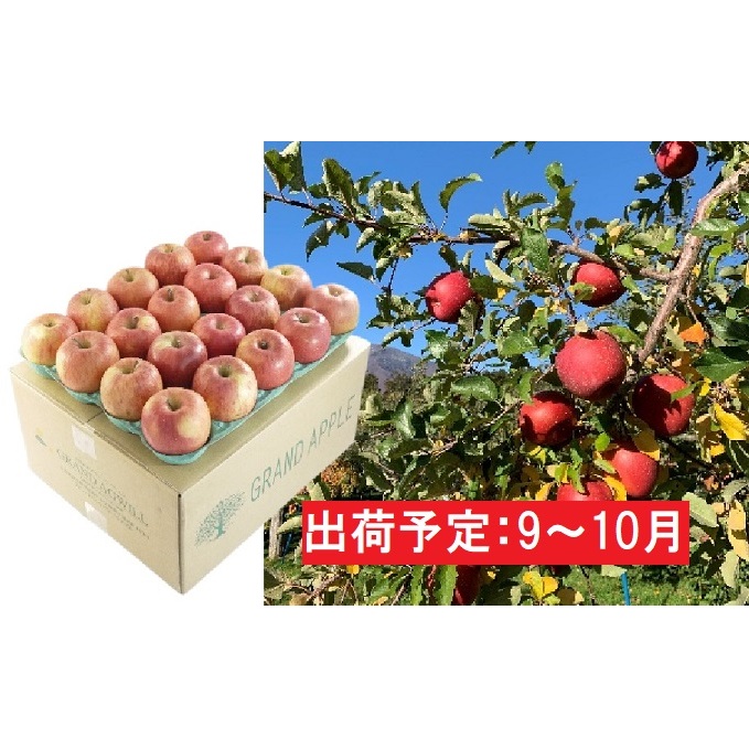 3000円 店 9〜10月 訳あり 葉とらず つがる 約10kg お届け