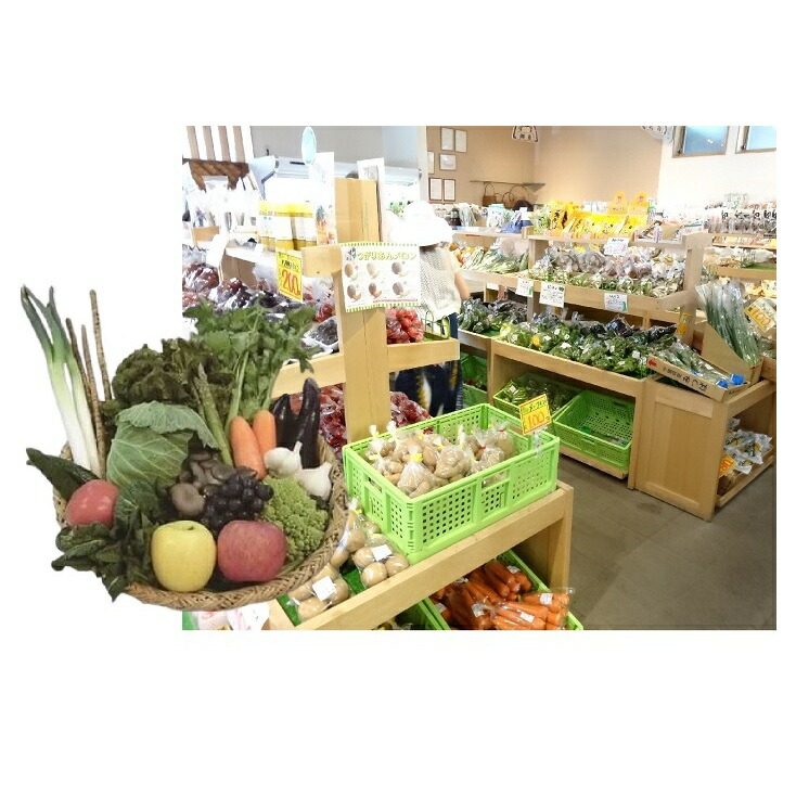 【ふるさと納税】野市里からの贈り物（旬の野菜、加工品約10～14種類程度）【 弘前 岩木山麓産 セット 詰合せ 】