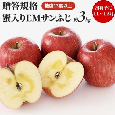 11〜12月 贈答規格 蜜入りEMサンふじ約3kg 糖度13度以上 お届け 新発売