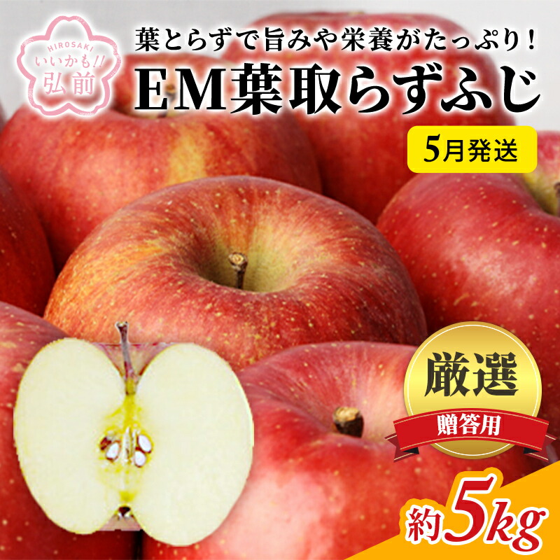 【ふるさと納税】りんご 【 5月発送 】 贈答用 EM 葉取らず ふじ 約 5kg ( 有袋栽培 CA貯蔵 )【 弘前市産 青森りんご 】 リンゴ 果物 青森 弘前 贈答 　お届け：2025年5月10日～2025年5月31日