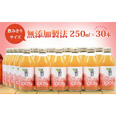 りんごジュース RICH APPLE 無添加製法 30本セット(250ml×30本)