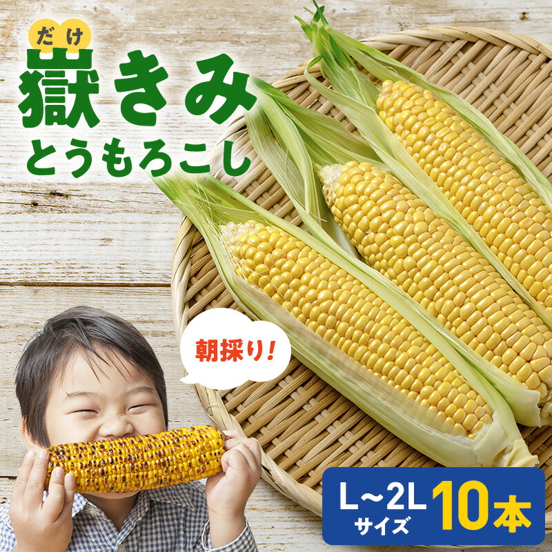 【ふるさと納税】【8月より発送】 朝採り 嶽きみ ( だけきみ ) 10本 【 フルーツのような とうもろこし トウモロコシ コーン 甘い 美味しい 高糖度 糖度18度 野菜 夏野菜 青森 青森県 弘前 弘前市 】※オンライン決済のみ　お届け：2025年8月1日～2025年9月10日