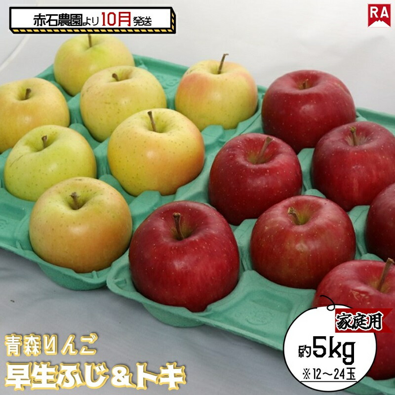 【ふるさと納税】りんご 【 10月発送 】家庭用 早生ふじ ＆ トキ 約 5kg 【 弘前市産 青森りんご  果物 フルーツ 食後 デザート 早生りんご ジューシー シャキシャキ 濃厚な甘み  】　お届け：2025年10月2日～2025年10月31日
