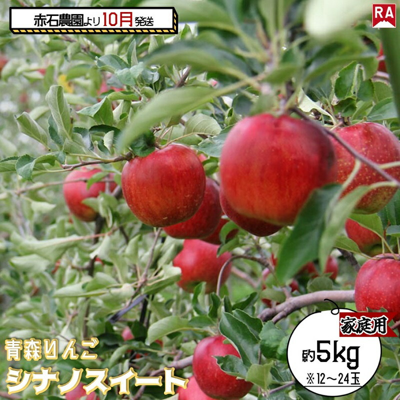 【ふるさと納税】りんご 【 10月発送 】家庭用 シナノスイート 約 5kg 【 弘前市産 青森りんご  果物 フルーツ 食後 デザート 果汁たっぷり ジューシー 旬の果物  】　お届け：2025年10月20日～2025年10月31日