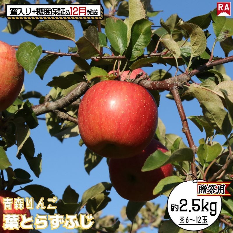 【ふるさと納税】りんご 【 12月発送 】 蜜入り ＆ 13度糖度保証 贈答用 葉とらず ふじ 約 2.5kg 【 弘前市産 青森りんご  果物 フルーツ 食後 デザート 旬の果物 旬のフルーツ 歯ごたえ 樹上完熟  】　お届け：2025年12月1日～2025年12月27日