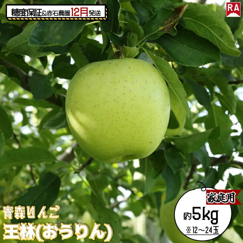 【ふるさと納税】りんご 【 12月発送 】 13度糖度保証 家庭用 王林 約 5kg 【 弘前市産 青森りんご  果物 フルーツ 食後 デザート 旬の果物 旬のフルーツ シャキシャキ みずみずしい  】　お届け：2025年12月1日～2025年12月27日