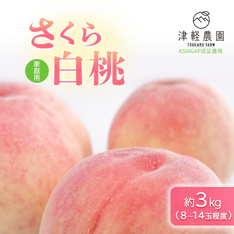 【ふるさと納税】【 2025年産 レア品種 さくら白桃 】家庭用 約 3kg 8～14玉程度 ASIAGAP認証農場 津軽農園 採れたて 農家直送 　お届け：2025年9月2日～2025年9月10日