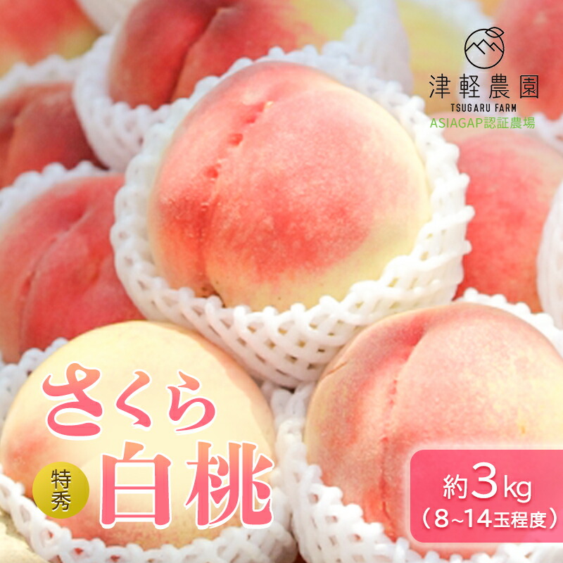 【ふるさと納税】【 2025年産 レア品種 さくら白桃 】特秀 約 3kg 8～14玉程度 ASIAGAP認証農場 津軽農園 採れたて 農家直送 　お届け：2025年9月2日～2025年9月10日