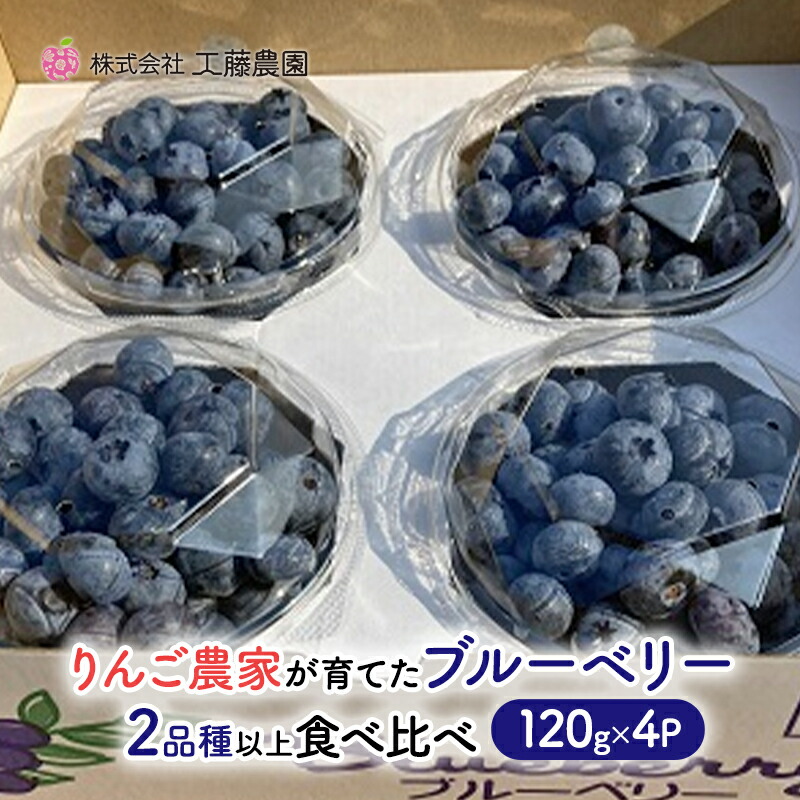 【ふるさと納税】【7月発送】 青森県弘前市産 りんご農家が育てたブルーベリー 120g×4P 2品種以上 食べ比べ 工藤農園  　お届け：2025年7月1日～2025年7月31日