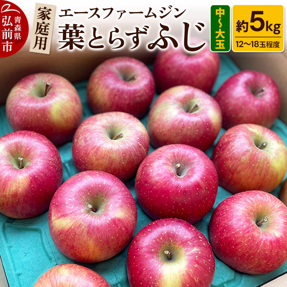 【ふるさと納税】【26年11月発送】りんご【数量限定】家庭用 葉とらず ふじ 約5kg（中玉～大玉12～18玉程度）【先行受付】 青森 果物 フルーツ 林檎 リンゴ くだもの 予約 [アップル おいしい はとらず ふじ りんご 果実 果物 取ら 赤色]｜青森県弘前市 12,480円