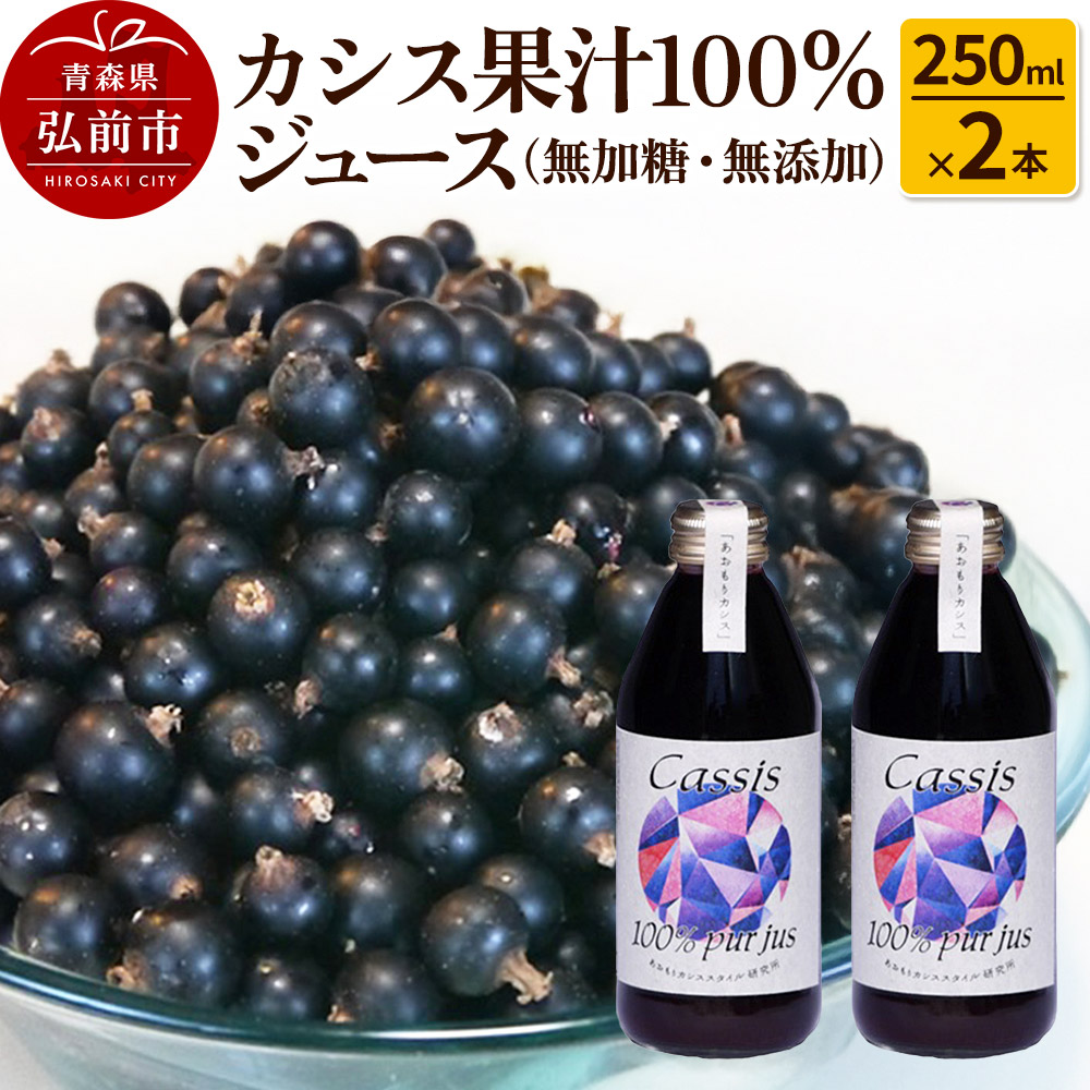 【ふるさと納税】カシス果汁100％ジュース（無加糖・無添加）250ml×2本【果汁飲料】 [おいしい ジュース フルーツジュース 飲料 果汁 果汁100％ 果物 美味]