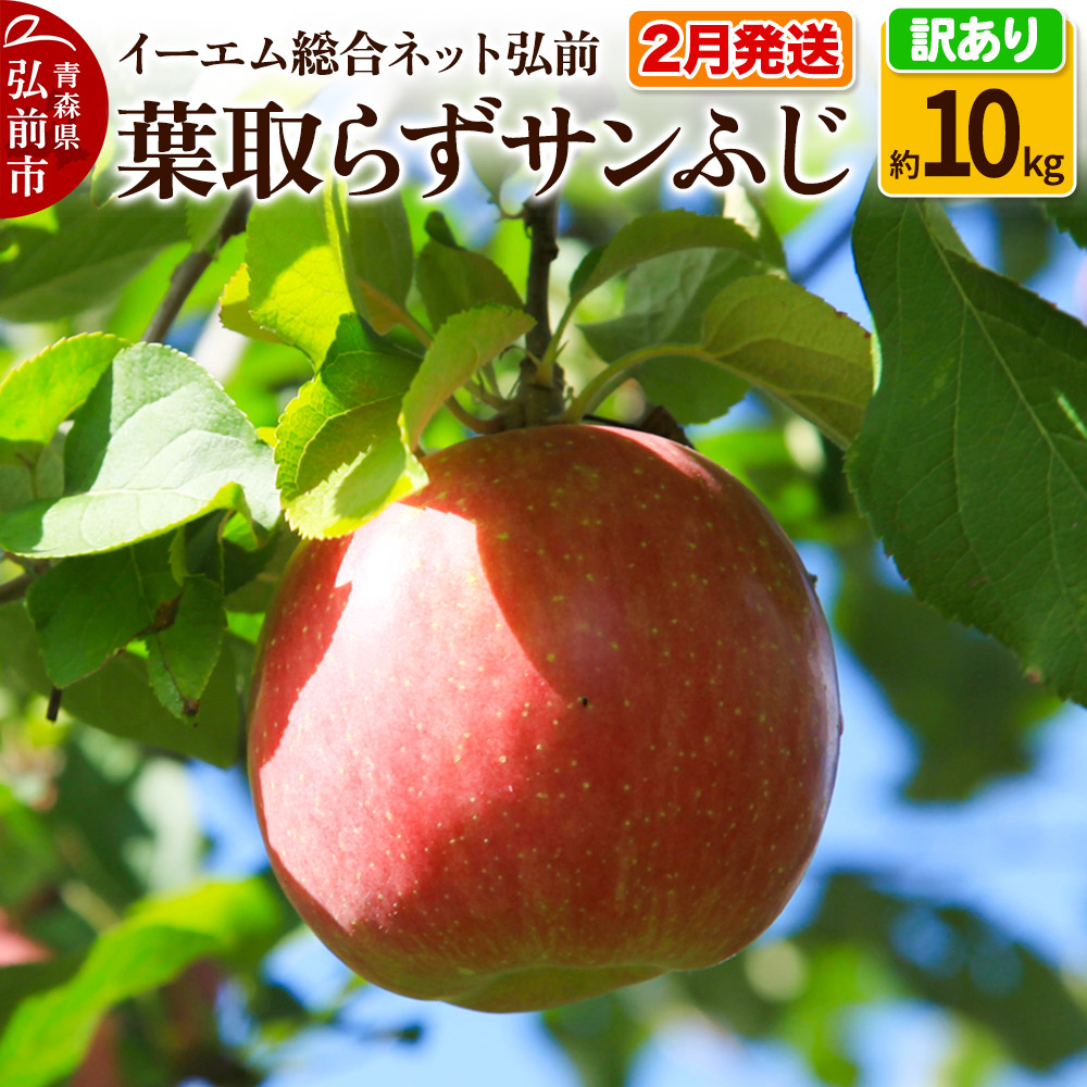 マグノリア！【青森県産りんご】贈答用葉取らずふじ5キロ 🍎5キロ🍎葉とらずふじ【家庭用】13玉～23玉 青森りんご