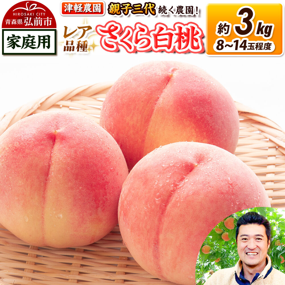 【ふるさと納税】【26年9月発送】桃 約3kg(8～14玉程度) 青森【2026年産 レア品種 さくら白桃】もも 家庭用 くだもの フルーツ 果物 津軽農園 採れたて 農家直送 [おいしい ピーチ フルーツ もも 果実 果物 青森 津軽 桃 白桃 美味]｜青森県弘前市