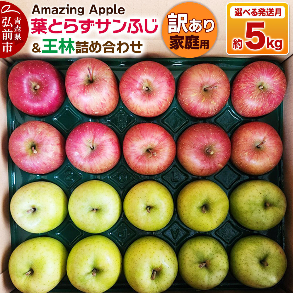 【ふるさと納税】りんご 葉とらずサンふじ＆王林 詰め合わせ【訳あり】家庭用 約5kg【選べる発送月】 [りんご サンふじ 葉とらず ふじ 王林 訳あり 家庭用 選べる 5kg 詰め合わせ セット アップル おいしい 果実 果物 赤色 黄色 美味 葉っぱ] 10,140円