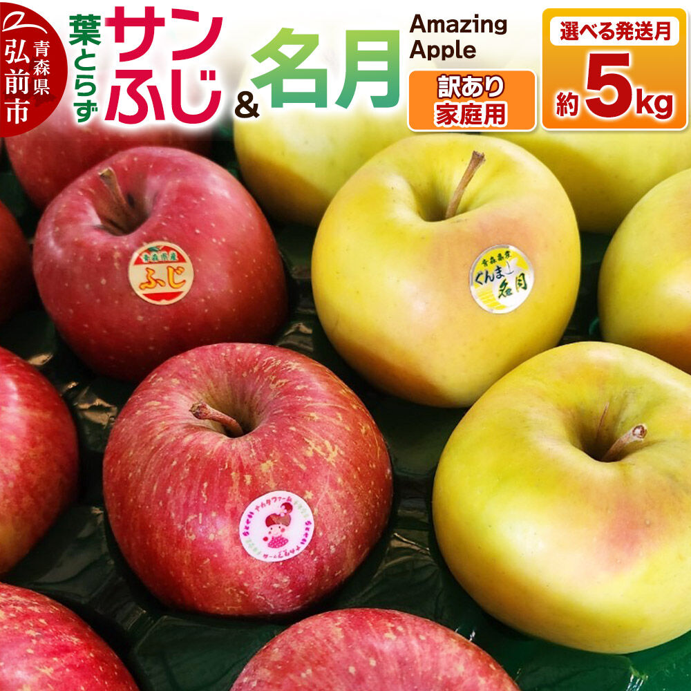 【ふるさと納税】りんご 葉取らずサンふじ＆名月 詰め合わせ【訳あり】家庭用 約5kg【選べる発送月】 [りんご サンふじ 葉とらず ふじ 名月 訳あり 家庭用 選べる 5kg 詰め合わせ セット アップル おいしい 果実 果物 美味 葉っぱ 林檎]