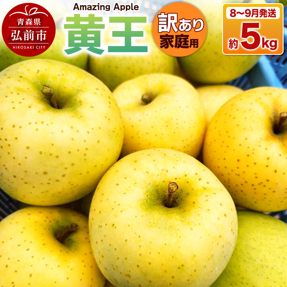 【ふるさと納税】【26年8月下旬～9月発送】りんご 黄王【訳あり】家庭用 約5kg [青森産 りんご 黄王 きおう アップル 林檎 リンゴ 果物 果実 美味 青森県 弘前市]