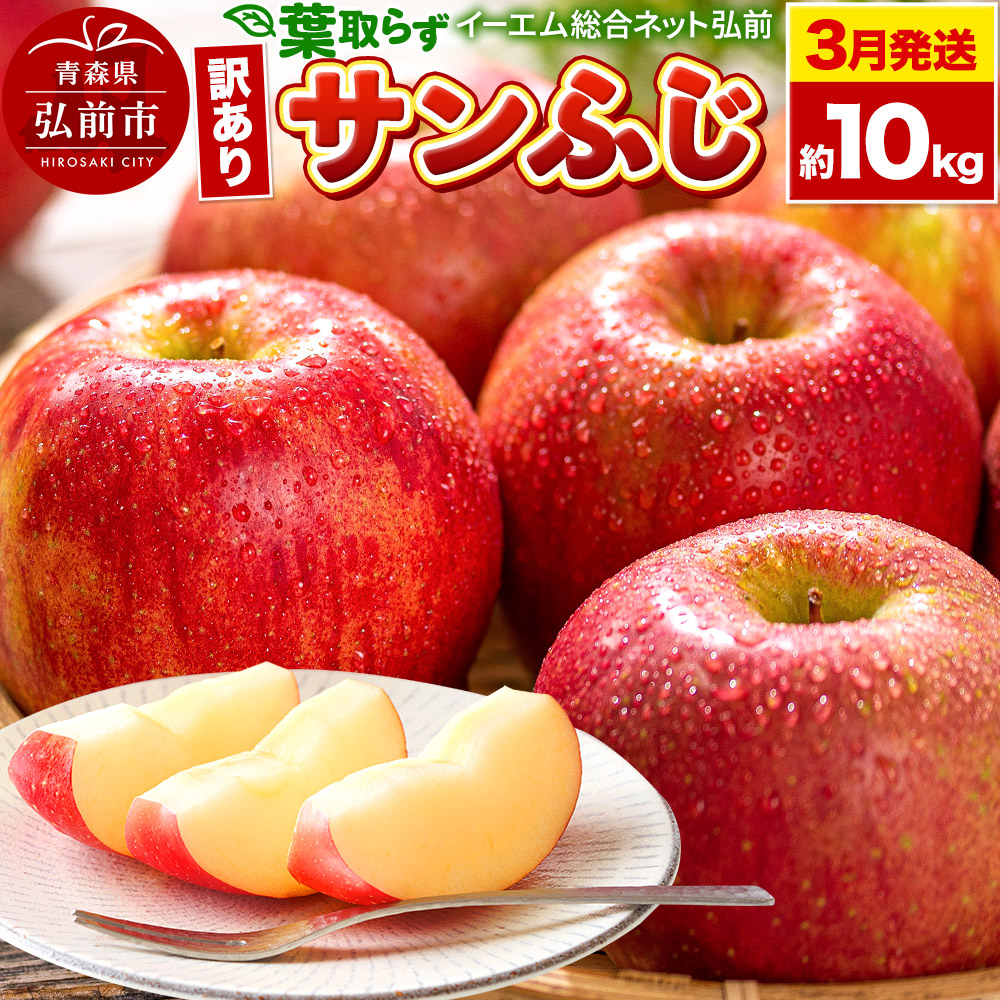 楽天市場】【ふるさと納税】【レビューキャンペーン】【26年2月