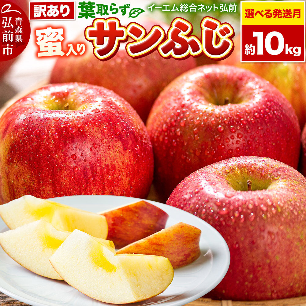 【ふるさと納税】りんご【選べる 26年11月下旬／12月 発送】りんご 葉取らず サンふじ【訳あり】約10kg【蜜入り】糖度13度以上 EMりんご 林檎 リンゴ 果物 くだもの フルーツ 青森県 弘前市 不揃い 規格外 [先行予約 家庭用 産地直送]｜青森県弘前市