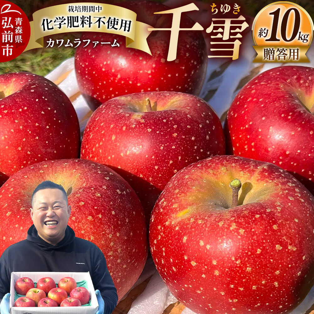 【ふるさと納税】【26年10月下旬～発送】りんご 千雪 約10kg カワムラファーム【贈答用】青森 果物 フルーツ 林檎 リンゴ くだもの [先行受付 アップル おいしい ちゆき お歳暮 お中元 ギフト プレゼント 果実 果物 赤色 贈り物 美味 林檎]｜青森県弘前市 18,000円
