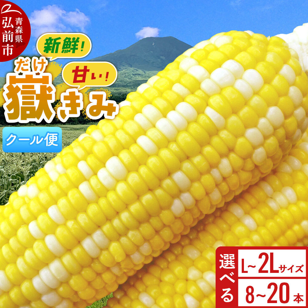 【ふるさと納税】【26年8月下旬～クール便発送】とうもろこし 嶽きみ【先行受付】L～2Lサイズ【選べる本数】しらかみラボ [先行予約 とうもろこし コーン 嶽きみ ブランド クール便 おいしい 青森 野菜 だけきみ]｜青森県弘前市