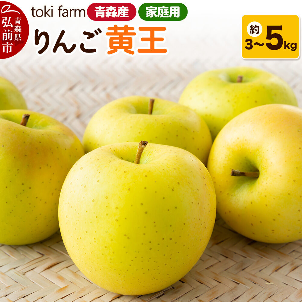 【ふるさと納税】【26年8月～クール便発送】りんご 黄王（きおう）【選べる約 3／5kg】家庭用 toki farm [クール便 アップル おいしい りんご 果実 果物 美味 林檎 青森県 弘前市]｜青森県弘前市 9,360円