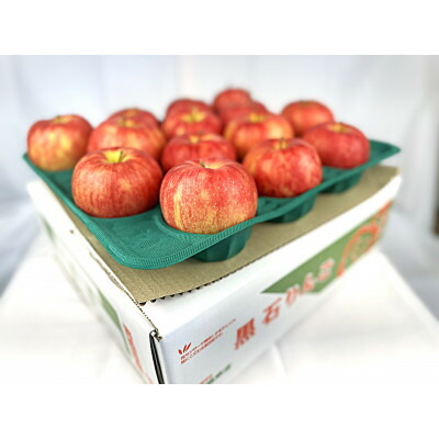 【ふるさと納税】酸味ですっきり! 訳ありサンジョナゴールド　5kg(13～20個入)　令和7年10月下旬より順次発送【配送不可地域：離島】【1495751】