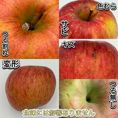 【ふるさと納税】【訳あり品】サンふじ　3kg(7～12個入)　令和7年11月～随時発送【1519575】