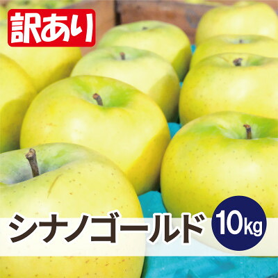 【ふるさと納税】平均糖度13度以上! シナノゴールド 約10kg 訳あり クール便【配送不可地域：離島・沖縄県】【1610042】