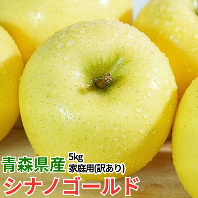 【ふるさと納税】【26年11月から順次発送】平均糖度13度以上! シナノゴールド 約5kg 訳あり 青森 りんご【配送不可地域：沖縄県】【1610223】｜青森県黒石市
