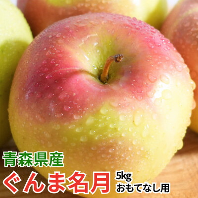 【ふるさと納税】【27年4月より順次発送】平均糖度13度以上! ぐんま名月 約5kg おもてなし用 クール便【配送不可地域：離島・沖縄県】【1610322】｜青森県黒石市