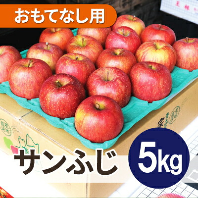 【ふるさと納税】【26年6月より順次発送】平均糖度13度以上! サンふじ 約5kg おもてなし用 クール便【配送不可地域：離島・沖縄県】【1611241】