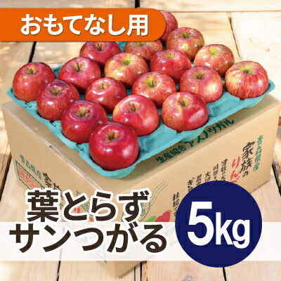 【ふるさと納税】【26年9月より順次発送】平均糖度12度以上! 葉とらずサンつがる 約5kg おもてなし用 クール便【配送不可地域：離島・沖縄県】【1611762】｜青森県黒石市 10,360円